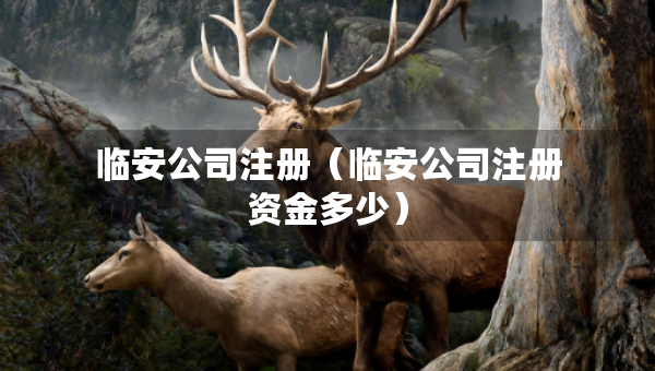 臨安公司注冊（臨安公司注冊資金多少）