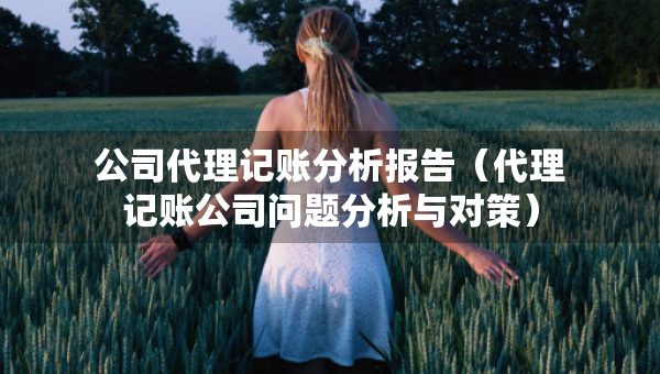 公司代理記賬分析報告（代理記賬公司問題分析與對策）