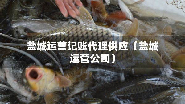 鹽城運(yùn)營記賬代理供應(yīng)（鹽城運(yùn)營公司）