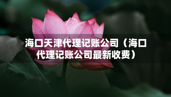 海口天津代理記賬公司（?？诖碛涃~公司最新收費）