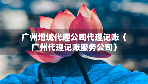 廣州增城代理公司代理記賬（廣州代理記賬服務(wù)公司）