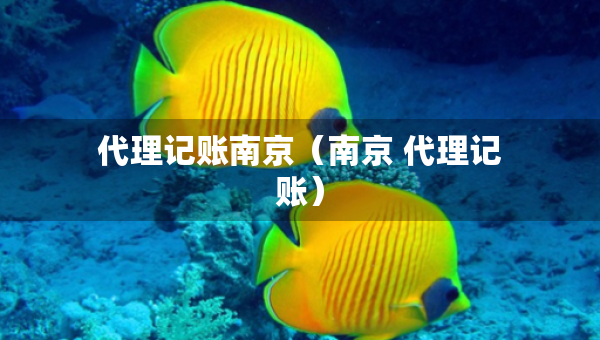 代理記賬南京（南京 代理記賬）