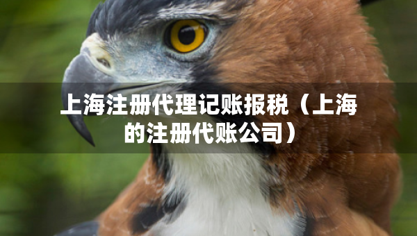 上海注冊代理記賬報稅（上海的注冊代賬公司）