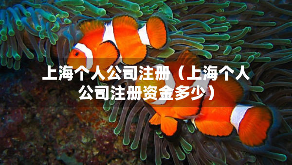 上海個人公司注冊（上海個人公司注冊資金多少）