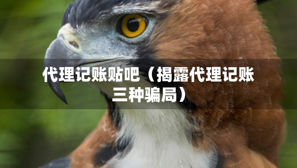 代理記賬貼吧（揭露代理記賬三種騙局）