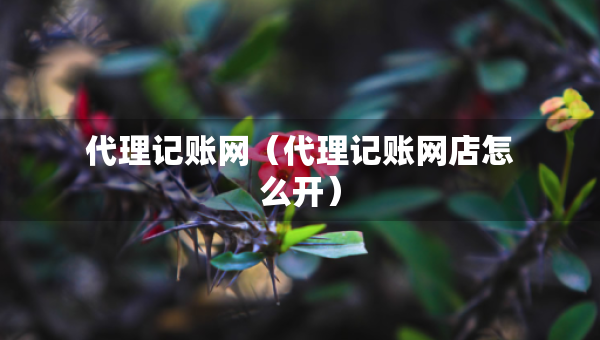 代理記賬網(wǎng)（代理記賬網(wǎng)店怎么開）