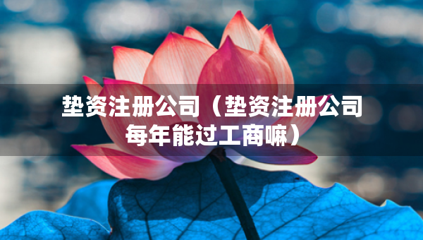 墊資注冊公司（墊資注冊公司每年能過工商嘛）