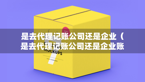 是去代理記賬公司還是企業(yè)（是去代理記賬公司還是企業(yè)賬戶）