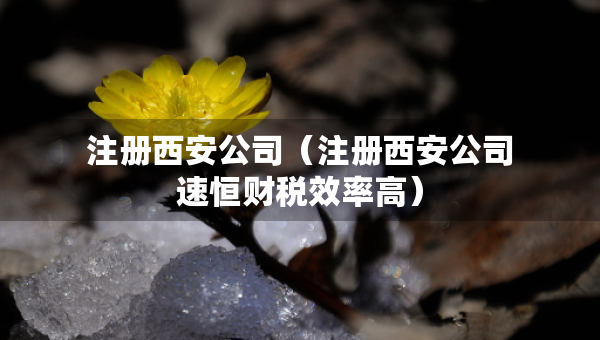 注冊西安公司（注冊西安公司速恒財稅效率高）