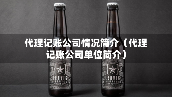 代理記賬公司情況簡介（代理記賬公司單位簡介）