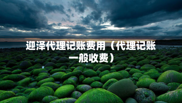 迎澤代理記賬費(fèi)用（代理記賬一般收費(fèi)）