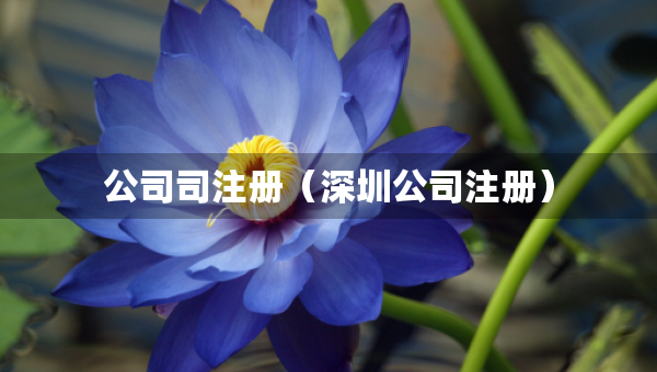 公司司注冊（深圳公司注冊）
