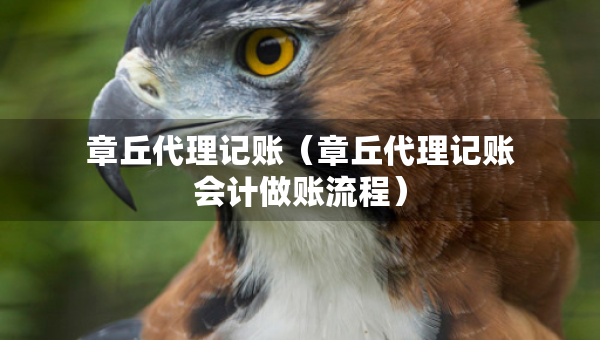 章丘代理記賬（章丘代理記賬會(huì)計(jì)做賬流程）