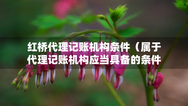 紅橋代理記賬機(jī)構(gòu)條件（屬于代理記賬機(jī)構(gòu)應(yīng)當(dāng)具備的條件有）