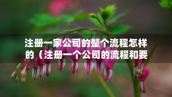 注冊(cè)一家公司的整個(gè)流程怎樣的（注冊(cè)一個(gè)公司的流程和要多少錢(qián)）