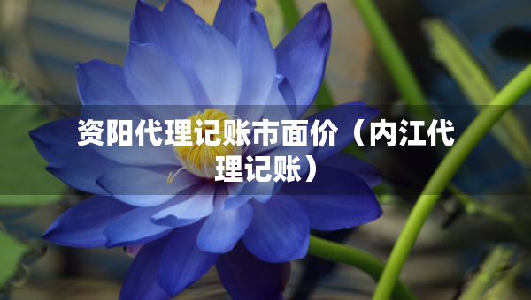 資陽代理記賬市面價（內(nèi)江代理記賬）