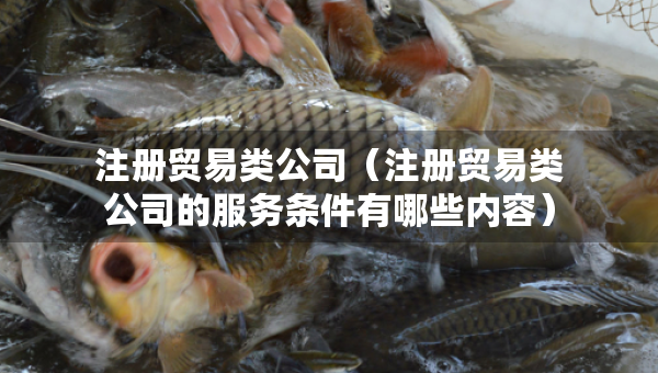 注冊(cè)貿(mào)易類(lèi)公司（注冊(cè)貿(mào)易類(lèi)公司的服務(wù)條件有哪些內(nèi)容）