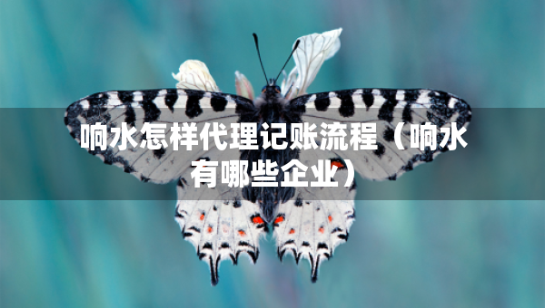 響水怎樣代理記賬流程（響水有哪些企業(yè)）