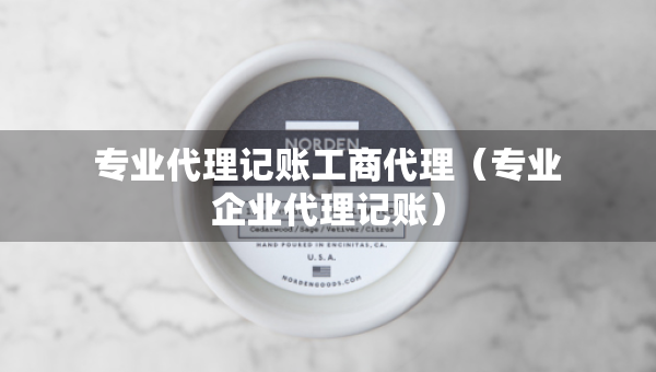 專業(yè)代理記賬工商代理（專業(yè)企業(yè)代理記賬）