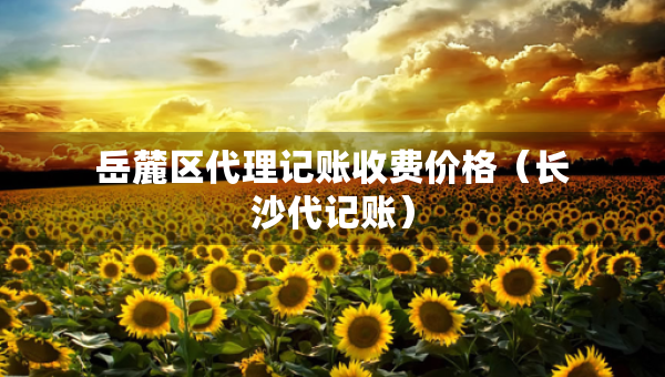 岳麓區(qū)代理記賬收費價格（長沙代記賬）