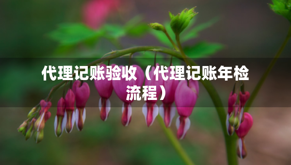 代理記賬驗(yàn)收（代理記賬年檢流程）