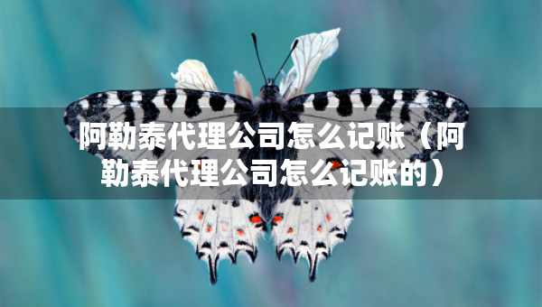 阿勒泰代理公司怎么記賬（阿勒泰代理公司怎么記賬的）