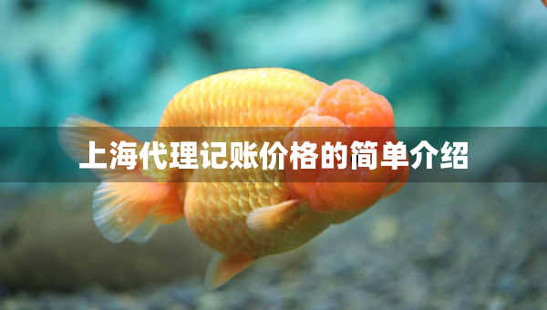 上海代理記賬價(jià)格的簡(jiǎn)單介紹