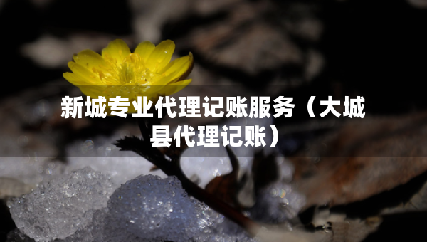 新城專業(yè)代理記賬服務(wù)（大城縣代理記賬）