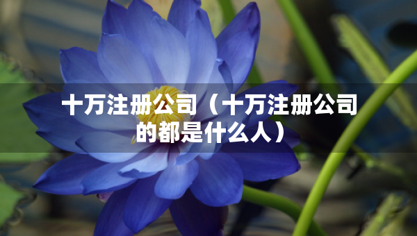 十萬注冊公司（十萬注冊公司的都是什么人）
