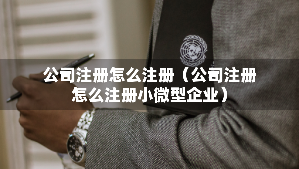 公司注冊(cè)怎么注冊(cè)（公司注冊(cè)怎么注冊(cè)小微型企業(yè)）