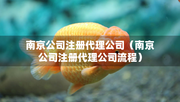 南京公司注冊代理公司（南京公司注冊代理公司流程）