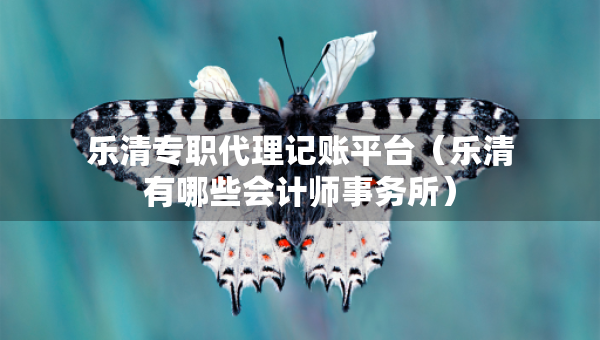 樂清專職代理記賬平臺（樂清有哪些會計(jì)師事務(wù)所）