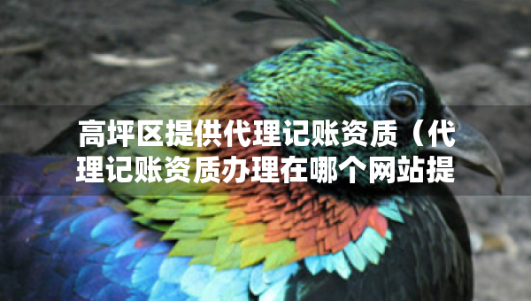 高坪區(qū)提供代理記賬資質(zhì)（代理記賬資質(zhì)辦理在哪個(gè)網(wǎng)站提交申請(qǐng)）