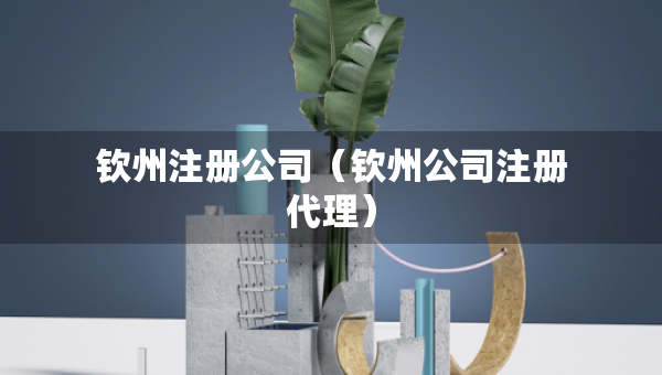 欽州注冊公司（欽州公司注冊代理）