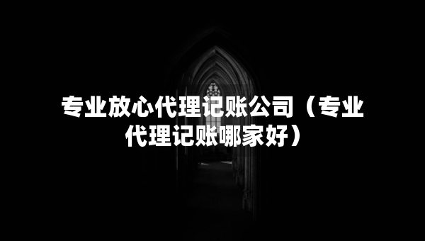 專業(yè)放心代理記賬公司（專業(yè)代理記賬哪家好）