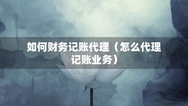 如何財務記賬代理（怎么代理記賬業(yè)務）
