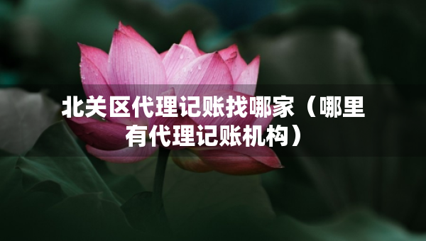 北關區(qū)代理記賬找哪家（哪里有代理記賬機構）