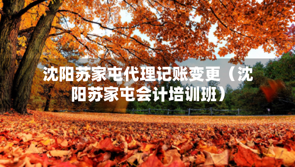 沈陽(yáng)蘇家屯代理記賬變更（沈陽(yáng)蘇家屯會(huì)計(jì)培訓(xùn)班）
