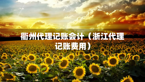 衢州代理記賬會計（浙江代理記賬費用）