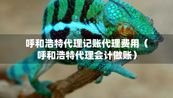 呼和浩特代理記賬代理費(fèi)用（呼和浩特代理會(huì)計(jì)做賬）