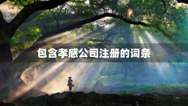 包含孝感公司注冊的詞條