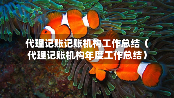 代理記賬記賬機構(gòu)工作總結(jié)（代理記賬機構(gòu)年度工作總結(jié)）