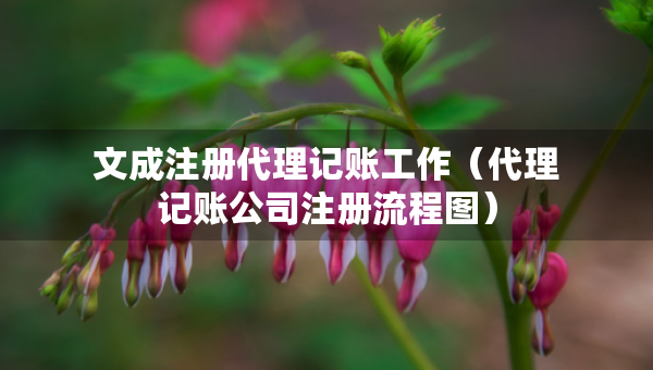 文成注冊代理記賬工作（代理記賬公司注冊流程圖）