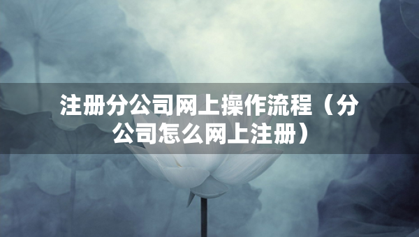 注冊分公司網(wǎng)上操作流程（分公司怎么網(wǎng)上注冊）