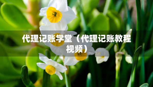 代理記賬學(xué)堂（代理記賬教程視頻）