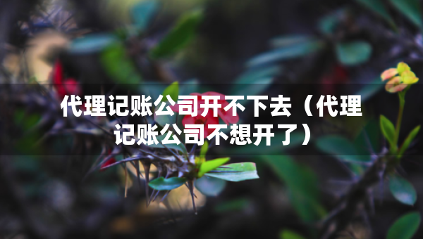 代理記賬公司開(kāi)不下去（代理記賬公司不想開(kāi)了）