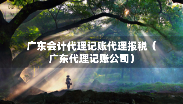 廣東會(huì)計(jì)代理記賬代理報(bào)稅（廣東代理記賬公司）