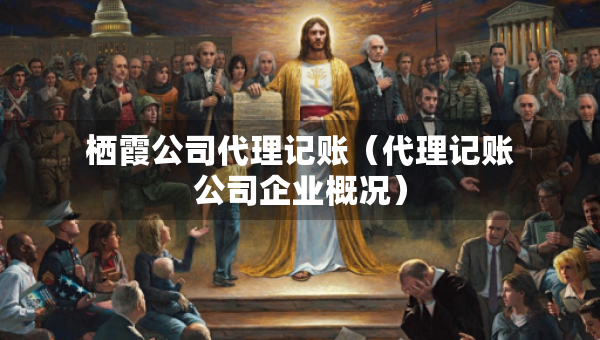 棲霞公司代理記賬（代理記賬公司企業(yè)概況）