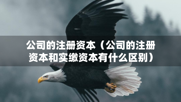 公司的注冊資本（公司的注冊資本和實繳資本有什么區(qū)別）