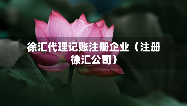 徐匯代理記賬注冊(cè)企業(yè)（注冊(cè)徐匯公司）